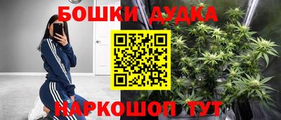 сатива Краснодар